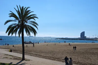 Top 10 Things to Do in Barcelona, Spain