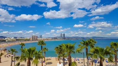 The Best Beaches in Barcelona - BeachAtlas
