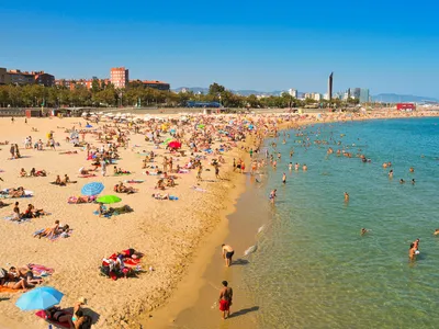 Пляж Барселонета, самый известный пляж в Барселоне.