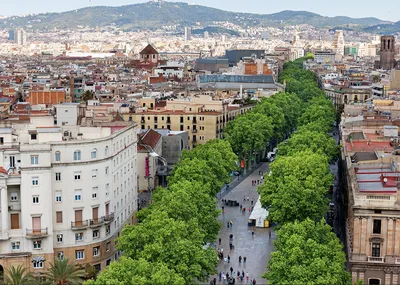 50 фактов, которые нужно знать перед поездкой в Барселону