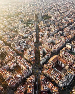 Барселона - лучший город для жизни. Путешествия по Испании - Барселона.  Июнь. Старый город. Район Борн. Цветущая жакаранда 📸Руслан: В августе или  осенью в БАРСЕЛОНУ? Обращайтесь🥂 мои экскурсии по городу, Каталонии и