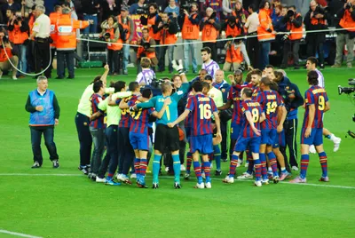 ФК «Барселона» в сезоне 2008/2009 — Википедия