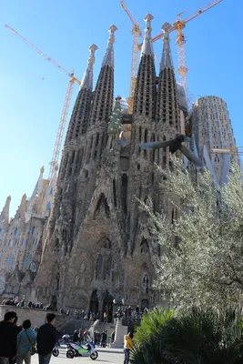 Барселона 💥: где находится и как добраться, достопримечательности, что  посмотреть в городе туристу — Tripster.ru