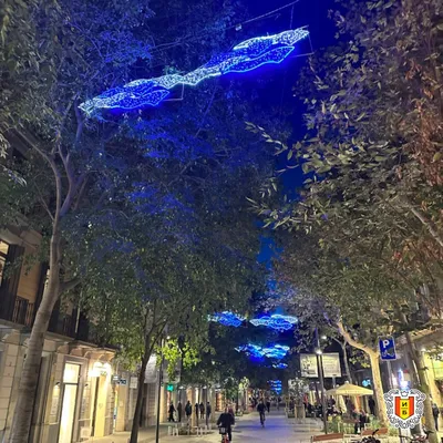 Барселона готова встречать Рождество и Новый год (фото) | Испанское Бюро |  Дзен
