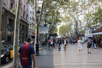 Ла Рамбла, Барселона — достопримечательности, чем заняться, фотографии,  видео, отели рядом, как добраться — Туристер.ру