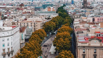 Улица La Rambla - Изображение Рамблы (Пешеходные улицы), Барселона -  Tripadvisor