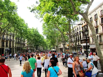 Càpsula especial: La remodelació de la Rambla de Barcelona: una proposta on  l'Educació Social també hi té molt a dir | Xarxanet - Entitats i  voluntariat de Catalunya per un món millor