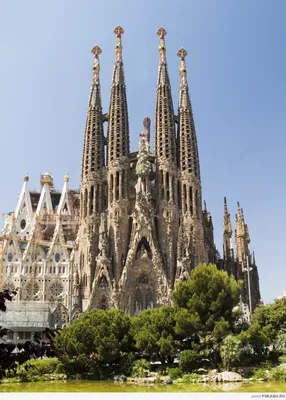 Любопытные факты о соборе Барселоны, которых вы не знали | spain.info