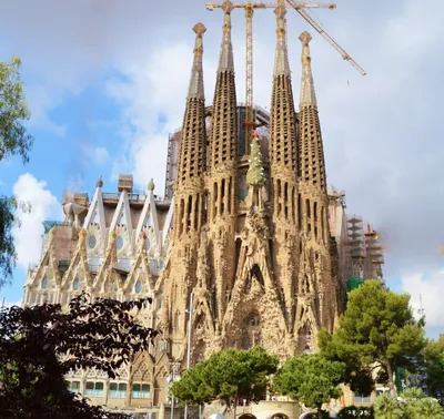 Туристка 7Я | Барселона + Собор Святого Креста и Святой Евлалии | Дзен