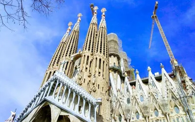 Художники показали, как будет выглядеть храм в Барселоне, который строят  140 лет — Сноб