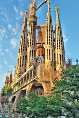 Барселона собор гауди фото фотографии