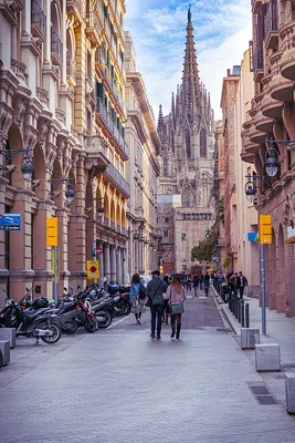 Барселона в феврале: цифры, факты, фотографии - Барселона ТМ