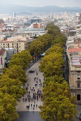 Вид на Барселону с высоты. Барселона с высоты . Городская панарама  Барселоны. Центр Барселоны. Stock Photo | Adobe Stock
