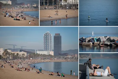 Барселона в январе: отзывы туристов о Барселоне на «Тонкостях»