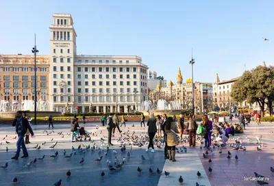 Барселона: «А я иду, шагаю по Рамбле...» © цена и отзывы 2024 года • Travel  Mania