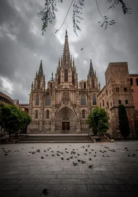 Достопримечательности Барселоны: что посмотреть в городе самостоятельно,  где гулять и как провести свой отдых — Яндекс Путешествия
