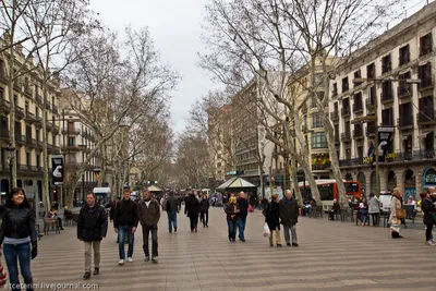 Барселона зимой