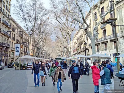 Барселона в январе, отдых и погода в Барселоне (Испания)