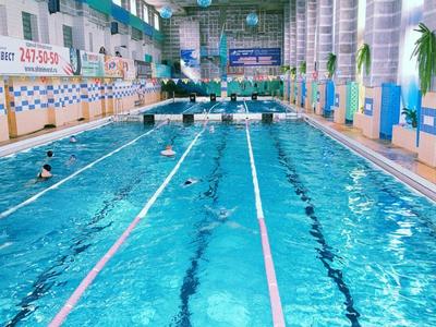 В Челябинске назвали дату открытия бассейна «Электрометаллург» | Деловой  квартал DK.RU — новости Челябинска