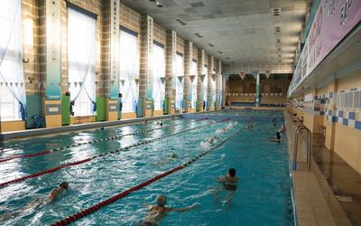 Открытие нового бассейна в «Строителе» в Челябинске 9 января 2022 - KP.RU