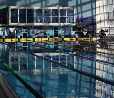 В Новосибирске минспорта прокомментировало скандал со сборами на  соревнования в школе плавания - sib.fm