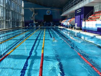 Новосибирский бассейн «Нептун» готов принимать пловцов | Sobaka.ru