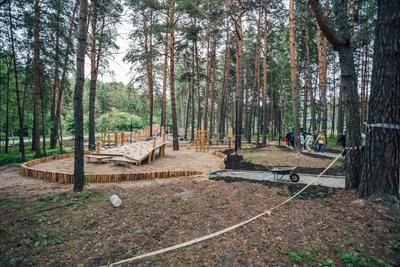 Открытые бассейны в Новосибирске 2019: удобно, но дорого - KP.RU
