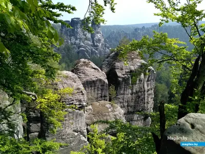 Германия/Саксонская Швейцария/Бастай. Местоположение