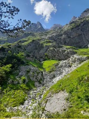 картинки : Бавария, Германия, природа, Walchensee, Горы, Альпы, Горные  рельефы, гора, Дикий цветок, окружающая среда, луг, Растительность, небо,  Рыжих, пустыня, весна, Пастбище, горный хребет, холм, Экорегион, трава,  пейзаж, прерия, Упал, Монтировать ...