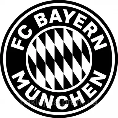 Футболка Бавария Мюнхен 2023-2024 специальная BLACK серия BVM-33 ⚽️ Купить  от 2 190 руб. в интернет-магазине спортивной атрибутики — footrig