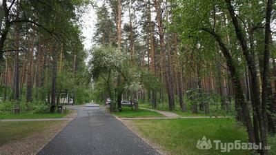 10 баз отдыха в окрестностях Красноярска