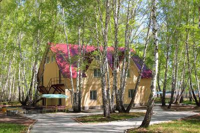База отдыха КУРОЧКИНО, озеро Курочкино Челябинск