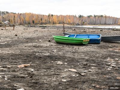 Озеро Курочкино, Челябинская область. Базы отдыха, пляж. Отели рядом, фото,  видео, как добраться — Туристер. Ру