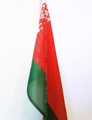 Файл:Flag of Belarus (1995–2012).svg — Википедия