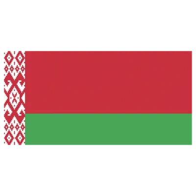 Пустят ли в Беларусь тех, кто не сообщил о ВНЖ или гражданстве другой  страны? - belsat.eu