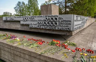 К 80-летней годовщине трагедии Хатыни - Посольство Республики Беларусь в  Федеративной Республике Германия