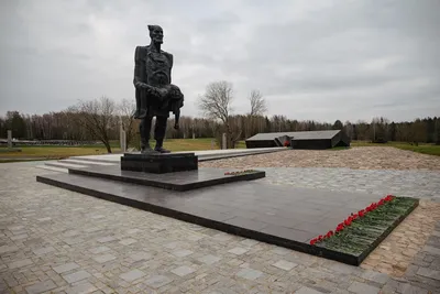 ДОСЬЕ: В Беларуси чтят память жителей Хатыни и тысяч других сожженных  деревень