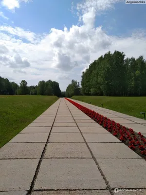 Посещение мемориального комплекса \"Хатынь\" | Официальный интернет-портал  Президента Республики Беларусь