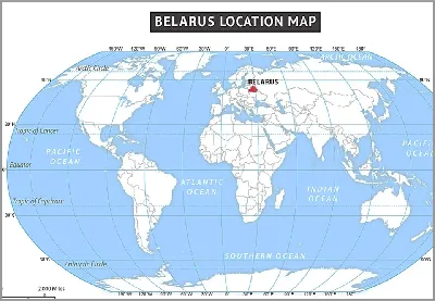 Карта Мира Лупой Указывающей Беларусь Карта Беларуси Флагом Петле Векторное  изображение ©boldg 516246550