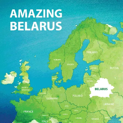 Карта Республики Беларусь на русском языке, разделённая по областям и  районам Stock Vector | Adobe Stock