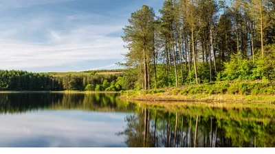 Дикая природа Беларуси — идеальное место для исследователей