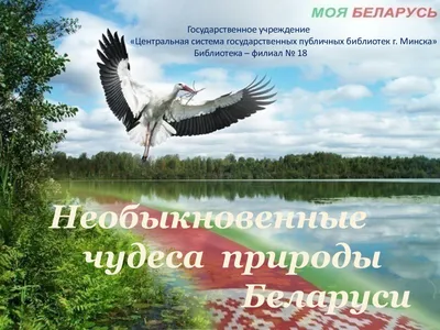 Природа Беларуси - 2 | Пикабу