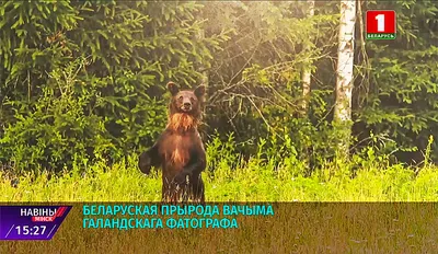 Красота белорусской природы (фоторепортаж) — ПРАЦА
