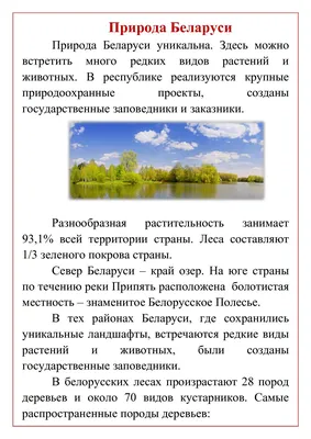 Красота белорусской природы (фоторепортаж) — ПРАЦА