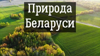 Природа в Беларуси (Волковыск) | Пикабу