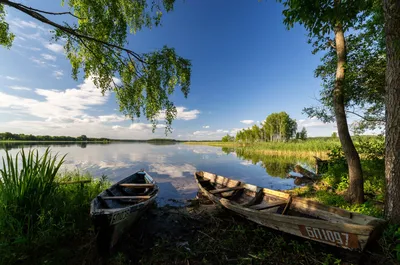 Дикая природа Беларуси | Отдых на природе в Беларуси