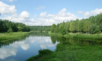 Природа Беларуси с высоты птичьего полёта - YouTube