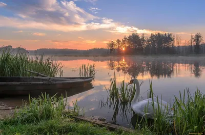 Самые красивые места белорусской природы, которые должен увидеть каждый |  TROFEI.by | Отдых и путешествия в Беларуси :: туризм, рыбалка, охота