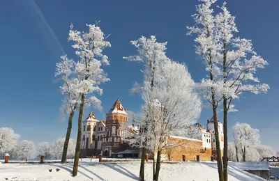 Зима в Беларуси: как развлекаться?