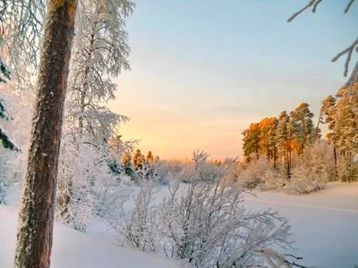 Новый рекорд зимы: до -29°C опускалась в Беларуси температура минувшей ночью